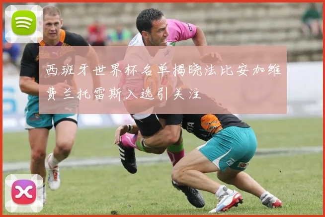 西班牙世界杯名单揭晓法比安加维费兰托雷斯入选引关注